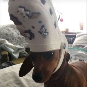 Meet your Posher, Brooke